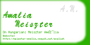 amalia meiszter business card